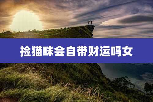 捡猫咪会自带财运吗女