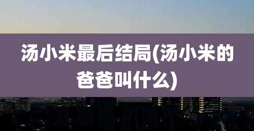 汤小米最后结局(汤小米的爸爸叫什么)