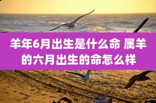 羊年6月出生是什么命 属羊的六月出生的命怎么样