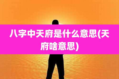 八字中天府是什么意思(天府啥意思)