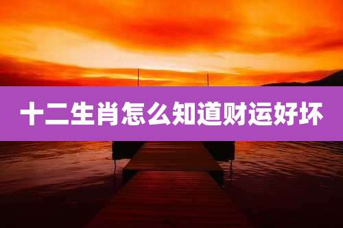 十二生肖怎么知道财运好坏