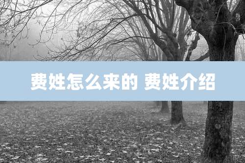 费姓怎么来的 费姓介绍
