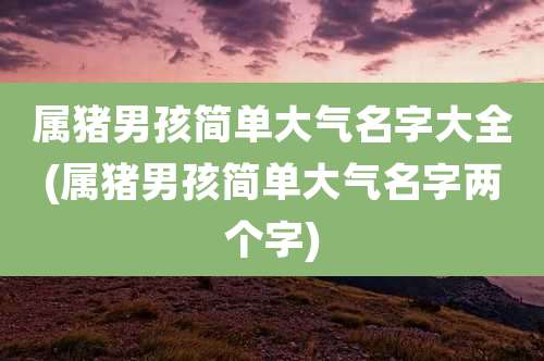 属猪男孩简单大气名字大全(属猪男孩简单大气名字两个字)