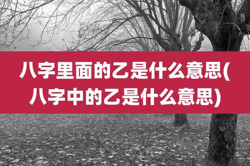 八字里面的乙是什么意思(八字中的乙是什么意思)