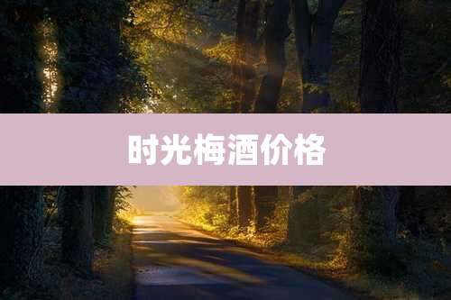时光梅酒价格