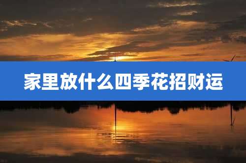 家里放什么四季花招财运