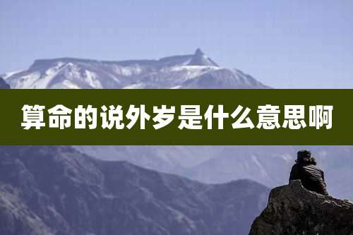 算命的说外岁是什么意思啊