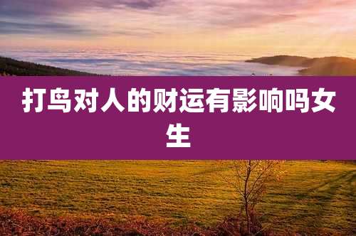 打鸟对人的财运有影响吗女生