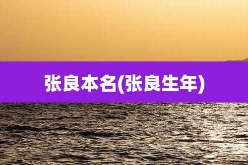 张良本名(张良生年)