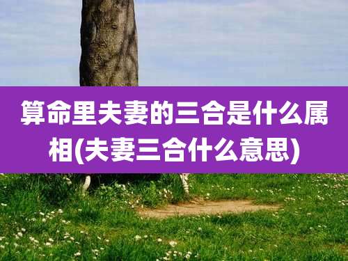 算命里夫妻的三合是什么属相(夫妻三合什么意思)