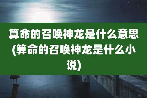 算命的召唤神龙是什么意思(算命的召唤神龙是什么小说)