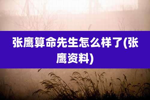 张鹰算命先生怎么样了(张鹰资料)