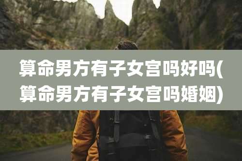 算命男方有子女宫吗好吗(算命男方有子女宫吗婚姻)