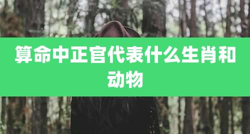 算命中正官代表什么生肖和动物