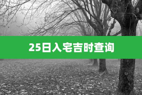 25日入宅吉时查询