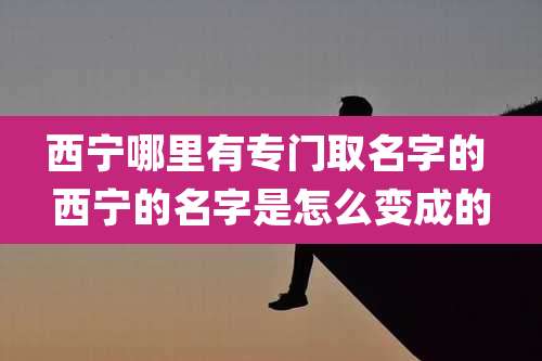 西宁哪里有专门取名字的 西宁的名字是怎么变成的