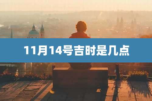 11月14号吉时是几点