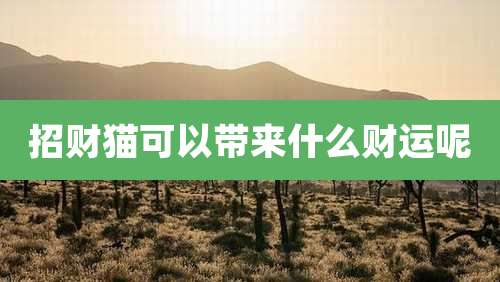 招财猫可以带来什么财运呢