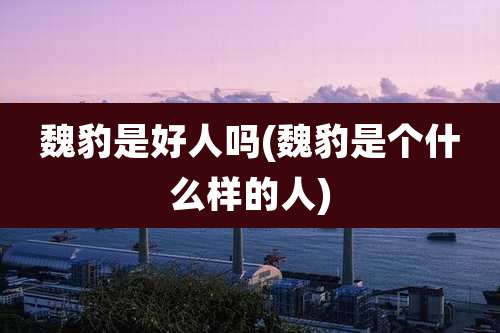 魏豹是好人吗(魏豹是个什么样的人)