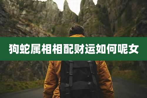 狗蛇属相相配财运如何呢女