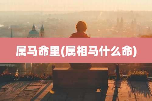 属马命里(属相马什么命)