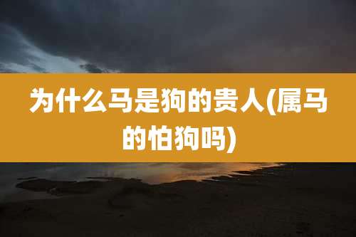为什么马是狗的贵人(属马的怕狗吗)