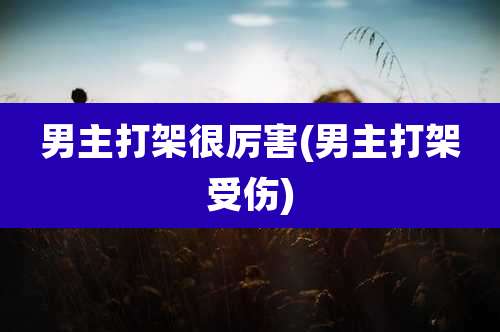 男主打架很厉害(男主打架受伤)