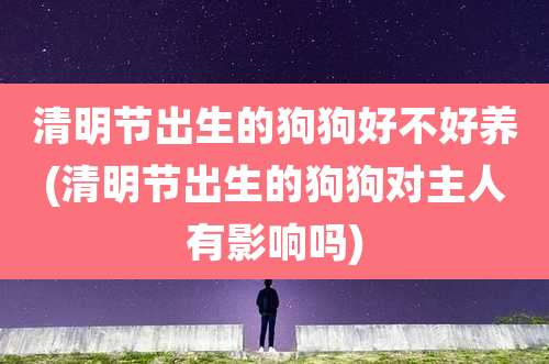 清明节出生的狗狗好不好养(清明节出生的狗狗对主人有影响吗)