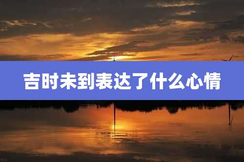 吉时未到表达了什么心情