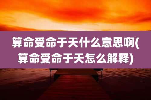 算命受命于天什么意思啊(算命受命于天怎么解释)