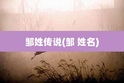 邹姓传说(邹 姓名)