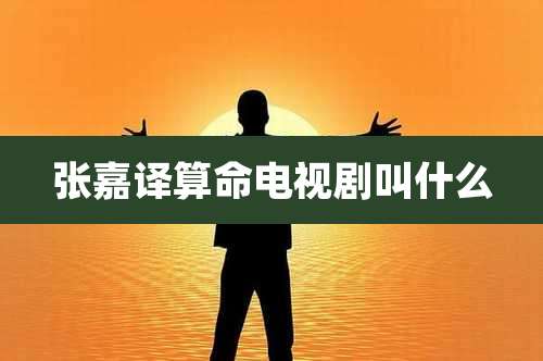 张嘉译算命电视剧叫什么