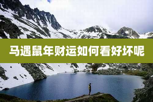 马遇鼠年财运如何看好坏呢