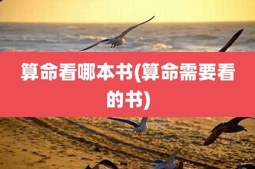 算命看哪本书(算命需要看的书)