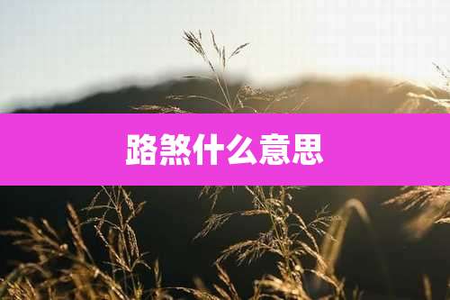 路煞什么意思