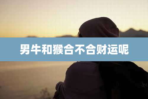 男牛和猴合不合财运呢