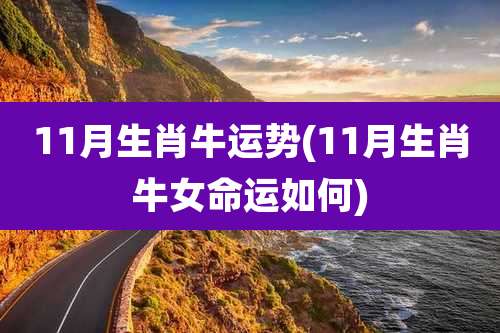 11月生肖牛运势(11月生肖牛女命运如何)