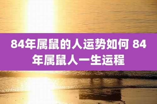 84年属鼠的人运势如何 84年属鼠人一生运程