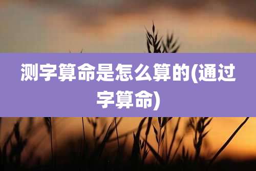 测字算命是怎么算的(通过字算命)