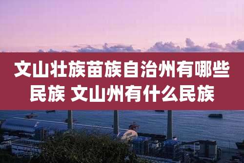 文山壮族苗族自治州有哪些民族 文山州有什么民族