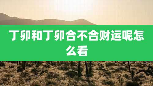 丁卯和丁卯合不合财运呢怎么看
