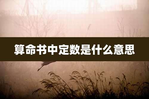算命书中定数是什么意思