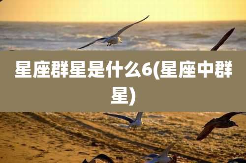 星座群星是什么6(星座中群星)