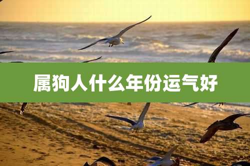 属狗人什么年份运气好