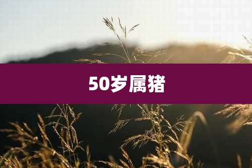 50岁属猪