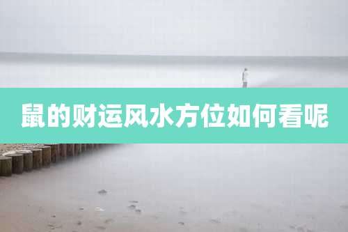 鼠的财运风水方位如何看呢