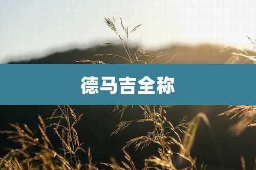 德马吉全称