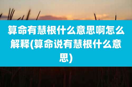 算命有慧根什么意思啊怎么解释(算命说有慧根什么意思)