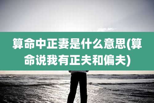 算命中正妻是什么意思(算命说我有正夫和偏夫)