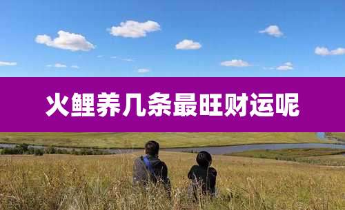 火鲤养几条最旺财运呢